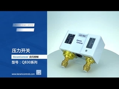 पानी पंप के लिए स्टेनलेस स्टील दोहरी समायोज्य दबाव स्विच