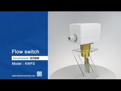 द्रव प्रवाह माप प्रवाह स्विच पैडल सेंसर तत्व के साथ -20C-120C तापमान रेंज